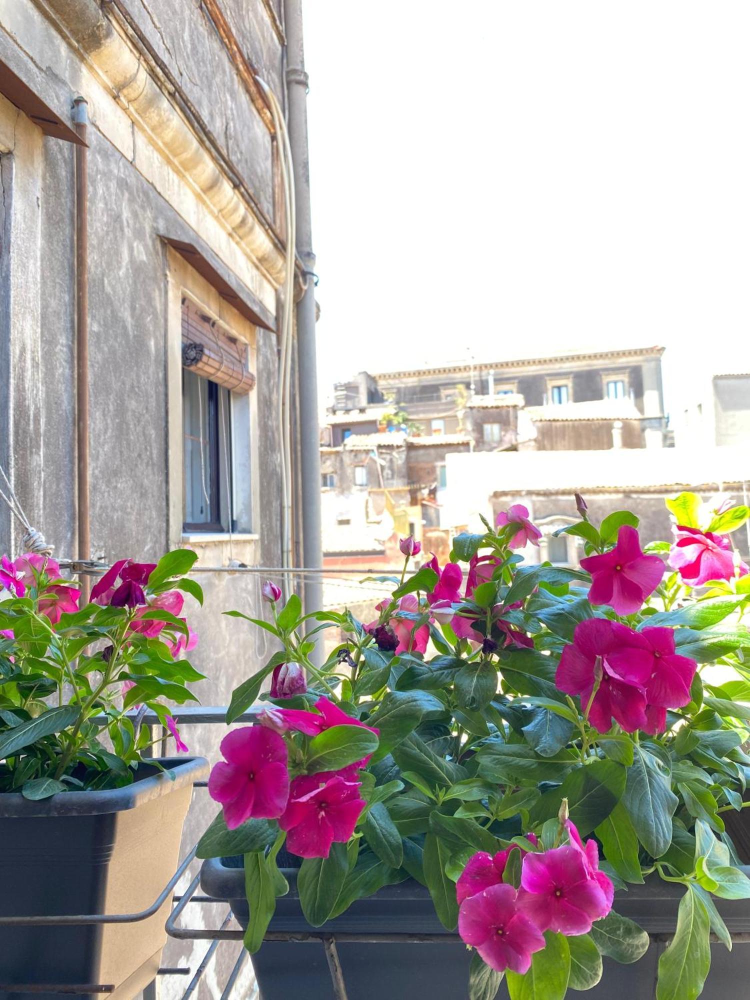 Bed and Breakfast Dimora Dei Minoriti Катанія Екстер'єр фото